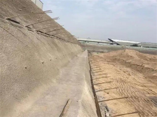 馆陶河道边坡加固